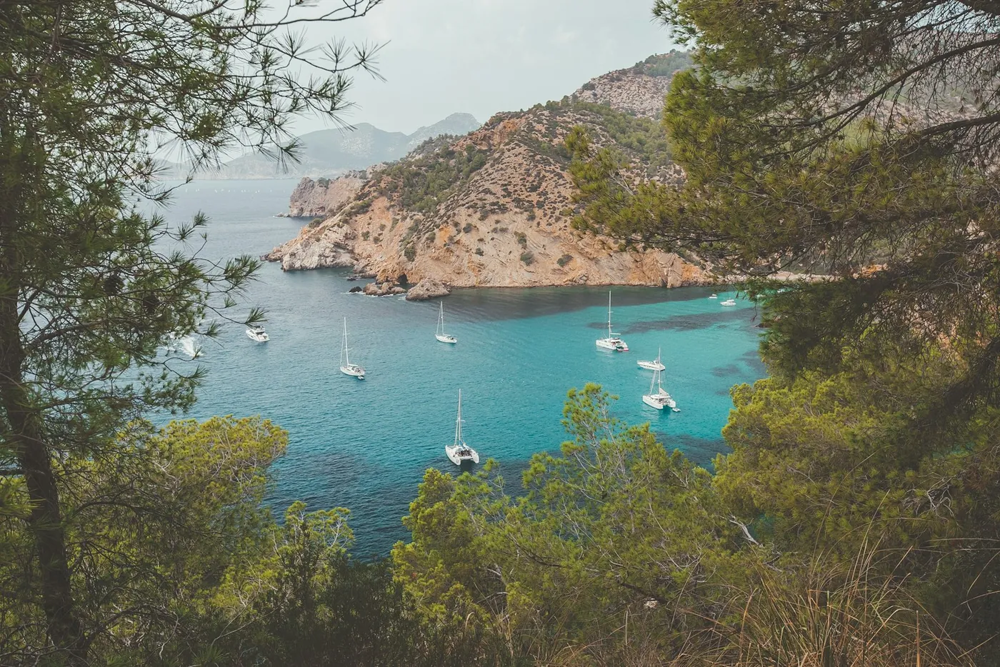 Crique méditerranéenne aux eaux turquoise, voiliers et maisons sur la côte